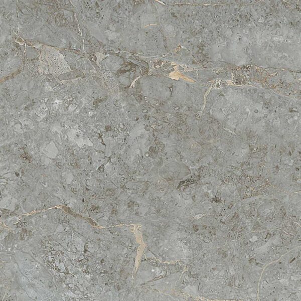 Williams Grey - Polish| Floor - Wall Tiles, Sarjapur -Bengaluru