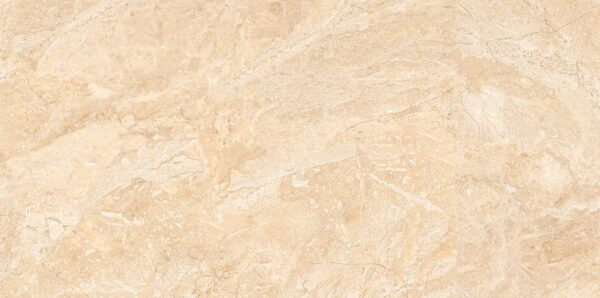 Rafael Marfil - Polish| Floor - Wall Tiles, Sarjapur -Bengaluru