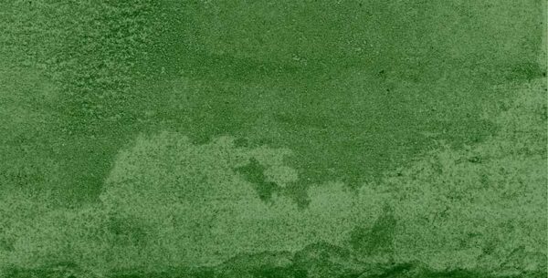 Rainbo Verde - Premium Stone