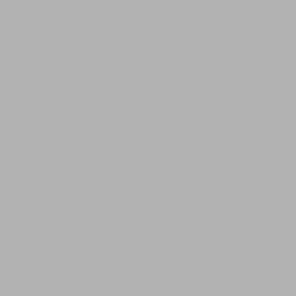 ODM Nexa Granule Plus Grey (Plain Grey) Parking tiles