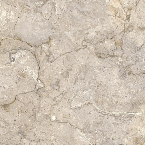 SFM Sicilia Marble Oyster DK| Floor - Wall Tiles, Sarjapur -Bengaluru