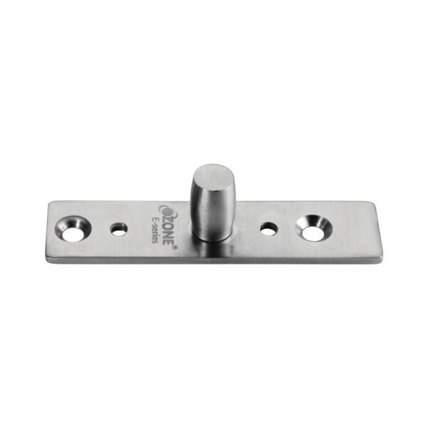 Top Pivot for Patch/Point Fitting Doors