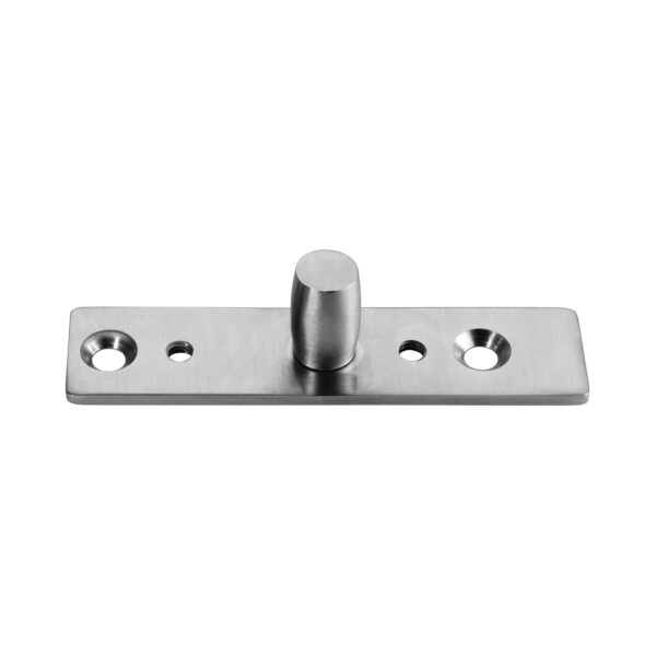 Top Pivot For Patch/Point Fitting Doors